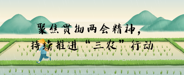 聚焦貫徹兩會精神，持續(xù)推進“三農(nóng)”行動